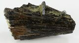 Aquamarine Crystals on Black Tourmaline (Schorl) - Namibia #31880-1